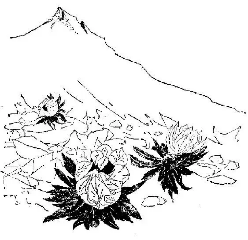 盤點各類地質地貌類型-地熱資源開發(fā)-地大熱能